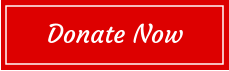 Donate Now