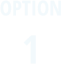OPTION 1